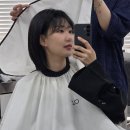 엑스퍼트짐 교대점 | 교대역미용실 오즈 OZ 서초교대점 후기｜수현실장님께 단발 컨설팅 받고 허쉬컷 성공