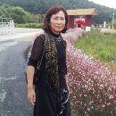 경기도 수원시 팔달구 수원천로255번길 이미지