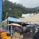 삼척중학교 | 강원도 삼척 가볼만한곳 장호항 스노클링 체험 위치 가격 주차 준비물