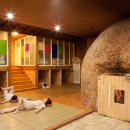 평촌본사우나 이미지