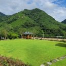 왔다민박 이미지