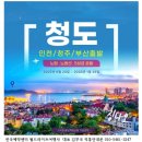 월드여행사 티스토리