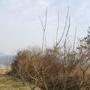 차랑농장 이미지