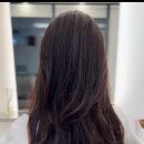 슈마떼헤어 이미지