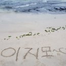 vivere 906 이미지