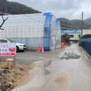 대림2농장 이미지