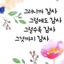 [6/23] 오늘을 연결하는 징검다리 명언 이미지