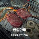 믿음한우 정육점 | [마장동정육점] 마장동축산시장 한우투뿔 NO.9 최상급 퀄리티의 마장동 한우 정육점, 한성한우 후기