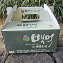 영산로 284 | 목포백억 모싯잎 송편 – 당일 만든 흑임자·동부·기피·절편 후기