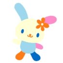 우사 | 짐패스 직구 후기 [아베일 우사하나]