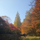 강천산 힐링가 | 🍁 11월 7일 순창 강천산 여행후기