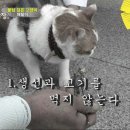 상귀농장 이미지