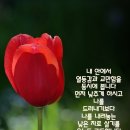 좋은생각 이미지