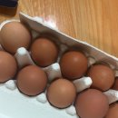 오서방네 농장 이미지