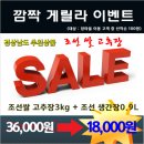 밀양장 네이버블로그