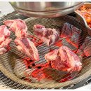 빽고기 이미지