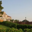 해당화피는아침 이미지