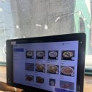 더왈츠 | 남양주 맛집 더수제비 솔직후기｜닥터와 왈츠만 옆 웨이팅 필수