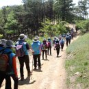 희망2길 이미지