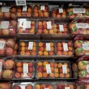 (주)레드에너지 | 이마트 레드와인 추천 인디고 아이즈 진판델 &amp; 콘차이토로 그란 레세르바 카르미네르