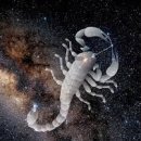 별자리심리 이미지