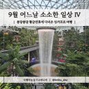 9월 어느 날 소소한 일상 Ⅳ | 10월 황금연휴에 다녀온 싱가포르 여행