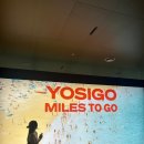 왕십리길약국 | [센트럴] 그라운드시소 요시고(YOSIGO MILES TO GO) 주말 전시 후기🖼