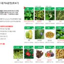 (주)에이바이오머티리얼즈