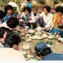 풀밭막걸리