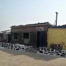 HoHo cafe(호호카페)