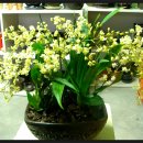 환타지아빌딩 이미지