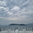 브리움 BRIUM 이미지