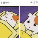 오뜰리에플라워