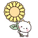 도담도담펫살롱 이미지