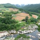 물반고기반 이미지