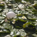 수룡동경로당 이미지