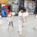 충무공태권도장 이미지