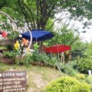 자연미힐링센타