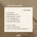 십이월 | 웨딩 ) 팔월과십이월 스냅 계약 후기