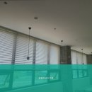 김영자코디