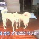 기봉이 농장 이미지