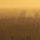 플래니터리헬스 이미지