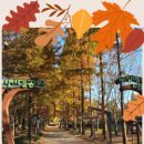 대공원충전소(주) 이미지