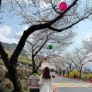 장터팥죽 | 하동 화개장터 맛집 쌍계전통팥죽 내돈내산 후기