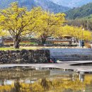 계척시목지 이미지