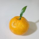 자세교정 필라테스 이미지