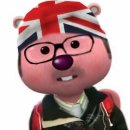 아기애견 이미지