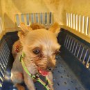 용주면사무소 이미지