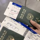 도쿄 여행 🇯🇵 DAY 1 l eSIM 사용후기, 콘피라차야 카레우동, 지유가오카, 펫파라다이스, 카페 고소안...
