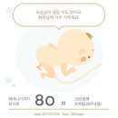 바니네일 이미지